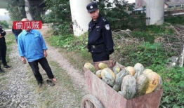 蔚县吃瓜事件最新爆料,最新爆料揭示惊人内幕